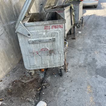 Mamak Belediyesi'ne Ait Çöp Konteynırları Koku Ve Böcek Getiriyor