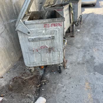 Mamak Belediyesi'ne Ait Çöp Konteynırları Koku Ve Böcek Getiriyor