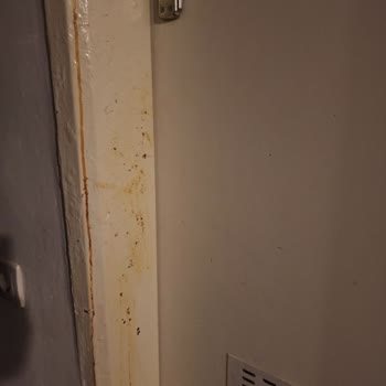 Maya World Hotels Kalmadığımız Odanın Parasını İstiyor