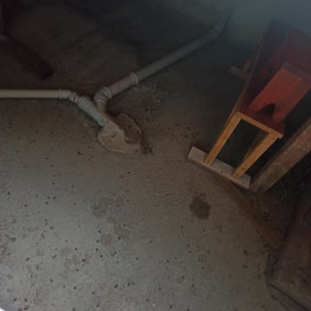 Avcılar Belediyesi Arı Evimde Yuva Yaptı