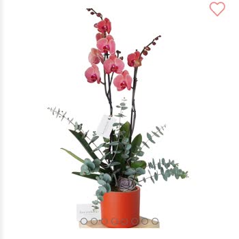 Heryerbitki.com Ürün Görselleri İle Alakasız Ve Kötü Ürün Gönderiyor