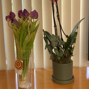 Heryerbitki.com Ürün Görselleri İle Alakasız Ve Kötü Ürün Gönderiyor