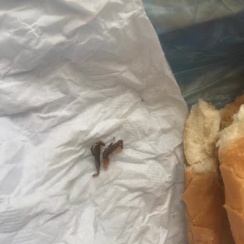 Antalya Eğitim ve Araştırma Hastanesi Antalya Eğitim Araştırma Hastane Hastalara Verilen Ekmek Arası Tavuk