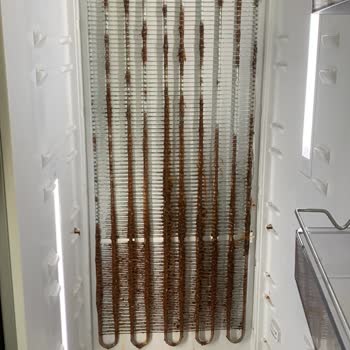 Arçelik Nfl 2181 Paslanma