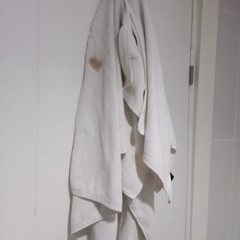 Side Royal Paradise Paranıza Yazık Olur