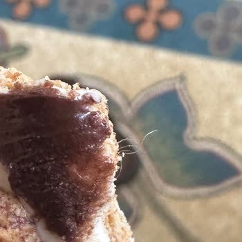Tam Çikolatalı Üçlü Torku Bisküvi