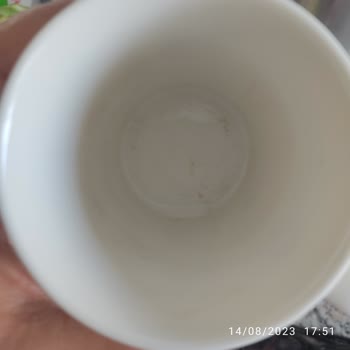 Otium Sealight Beach Resort 5 Yıldızlı Oteldeki Temizlik Sorunu