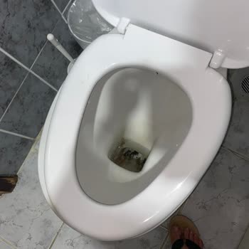 Golden Age Crystal Bodrum Resimlerle Alakası Olmayan Otel