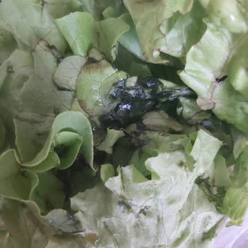 Arçelik Yetkilileri Lütfen Artık Bir Şey Yapın