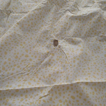 Grundig Çamaşır Makinesi Çamaşırları Yırtıyor