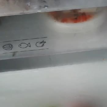 Vestel Buzdolabı Çözülemeyen Sorun