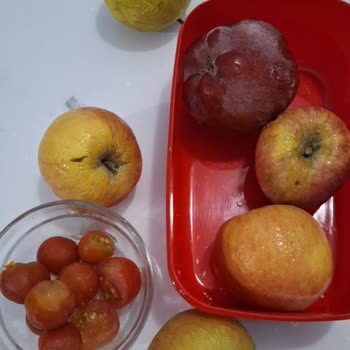 Vestel Buzdolabı Çözülemeyen Sorun