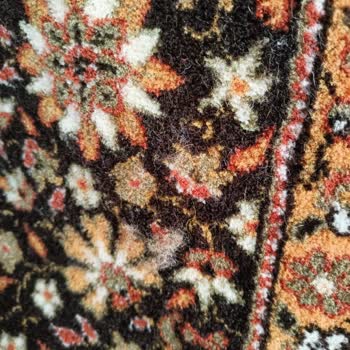 Akdeniz Halı Yıkama Halım Kullanılmaz Halde