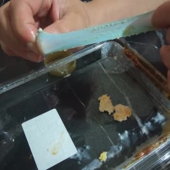 Tatlıbak Tatlının İçinden Çıkan Lastik Balon