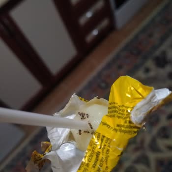 Toybox Şekerde Karıncalar Çıktı