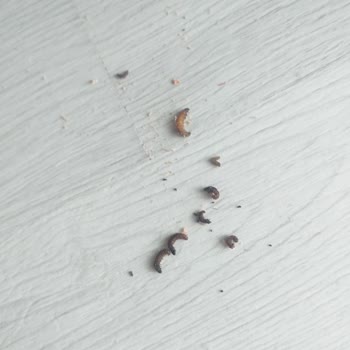 Best Mobilya Özensiz Ve Kalitesiz Ürün