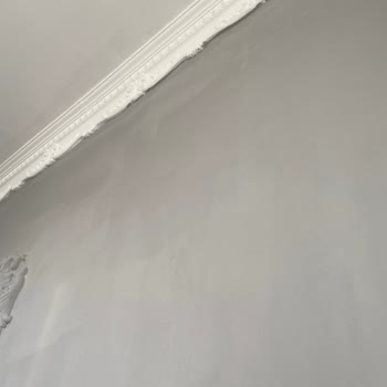 Polisan Duvarda Toz Gibi Duran Boya