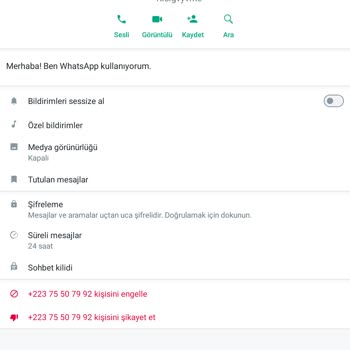 WhatsApp +223 Numaralı Kişi Mesaj Atmıştır