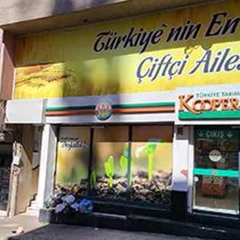 Tarım Kredi Kooperatif Market Şubesinin Çevreyi Kirletmesi