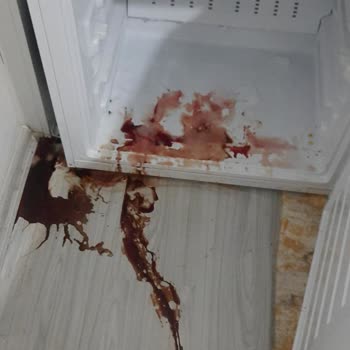 Altus Garantili Buzdolabı Mağduriyeti