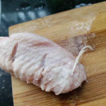 Lezita Yolunmamış Tavuk Kanadı, Taze Taze Tüyü Üstünde