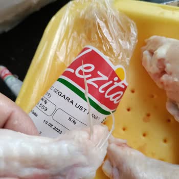 Lezita Yolunmamış Tavuk Kanadı, Taze Taze Tüyü Üstünde