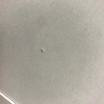Vivense Rabi Beyza Genç Odası Takımı Hayal Kırıklığı