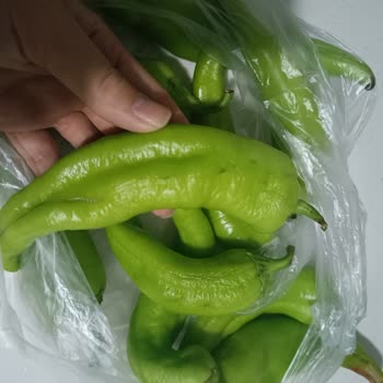 Çürük Çarık Sebze Gönderen Şok Market