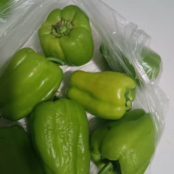 Çürük Çarık Sebze Gönderen Şok Market