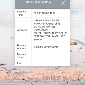 İstanbul Senin Numara Güncelleme Süresi