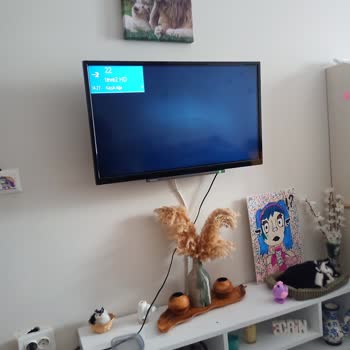 Vestel Teknik Servis HİZMETLERİ'NİN Tutarsızlığı