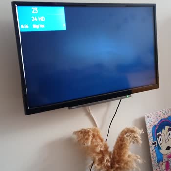 Vestel Teknik Servis HİZMETLERİ'NİN Tutarsızlığı