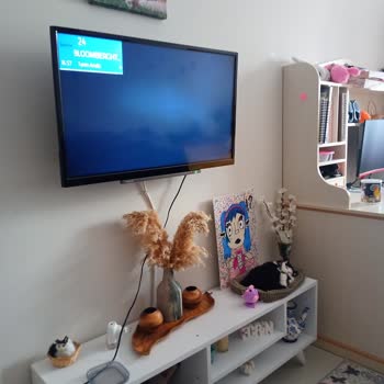 Vestel Teknik Servis HİZMETLERİ'NİN Tutarsızlığı