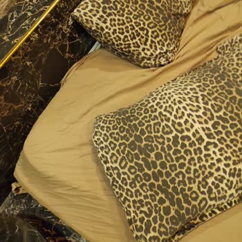 Black House Rezervasyon Ve Otel Temizliği Konusunda Şikayetim