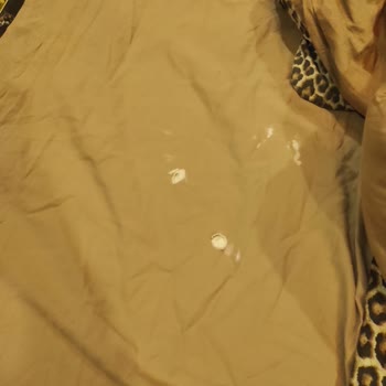 Black House Rezervasyon Ve Otel Temizliği Konusunda Şikayetim