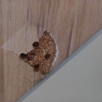 İstikbal Trabzon'dan Aldığımız Mobilyalar Kısa Sürede Kırılıyor