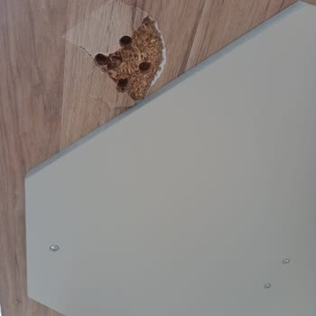 İstikbal Trabzon'dan Aldığımız Mobilyalar Kısa Sürede Kırılıyor