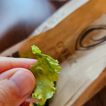 Oskar Pastanesi (Ankara) Oskar Sandviçten Böcek Çıktı