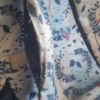 Frocx Marka Bizi Mağdur Etti