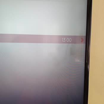 SEG TV Ekran İçi Lekeler