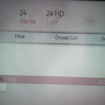 SEG TV Ekran İçi Lekeler