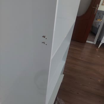 Çelik Kardeşler Gaziemir Şubesinde Yaşadığımız Sorunlar