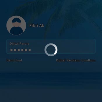Halkbank Mobil Giriş Yapılmıyor