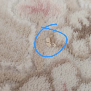 Zehra Halı Yıkama (Kayseri) Halıları Yıkamadan Geri Göndermiş