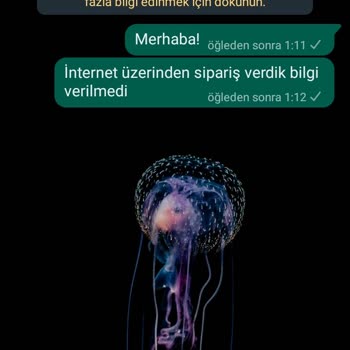 Organic Scarfs Markası Geri Dönüş Yapmıyor.