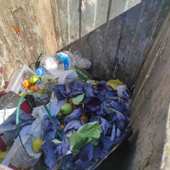 Migros Meyve Sebze Gereksiz Çöpe Atılıyor