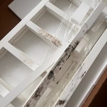 Givayo Mobilya Kusurlu Karyola Satın Aldım!