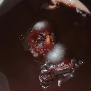 Üstatlım Profiterol Küflü Çıktı