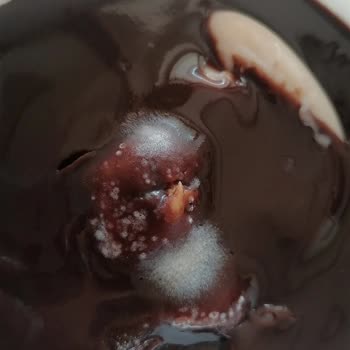 Üstatlım Profiterol Küflü Çıktı