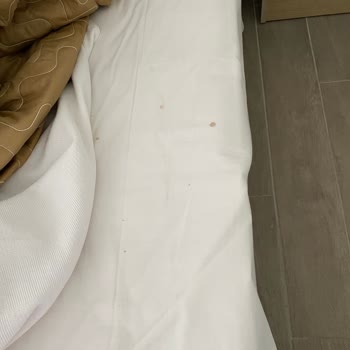 Grand Cortez Resort Hotel Kötü Deneyim